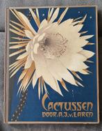 Cactussen  - Verkade  - 1931, Gelezen, Ophalen of Verzenden