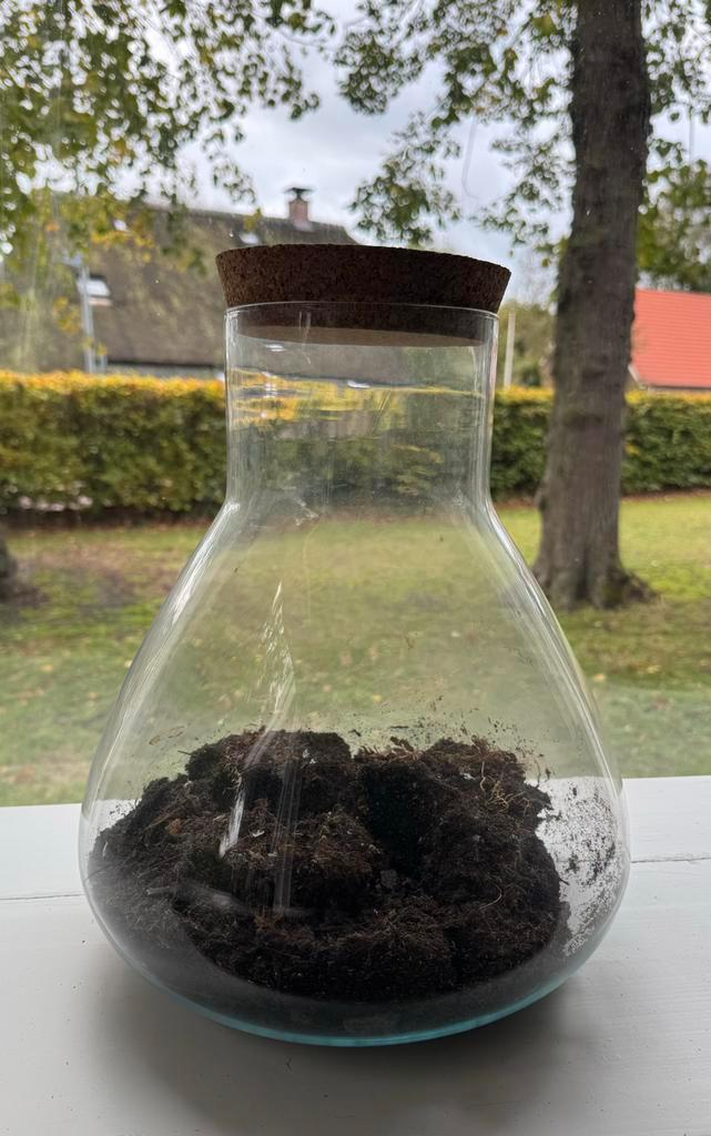 Glazen Pot / Mini ekosysteem Terrarium - H35 x Ø30 cm, Huis en Inrichting, Woonaccessoires | Vazen, Zo goed als nieuw, Overige kleuren