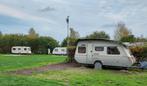Kip Greyline 42TD, Kip, Kleine zit, Particulier, 4 tot 5 meter
