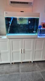 Zeeaquarium compleet om zo te beginnen te koop, Dieren en Toebehoren, Vissen | Aquaria en Toebehoren, Ophalen of Verzenden, Zo goed als nieuw
