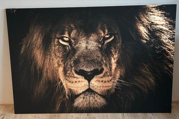 Canvas Schilderij Leeuw - 100x150cm beschikbaar voor biedingen