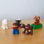 LEGO Duplo Dieren verzorging 5646, Ophalen of Verzenden, Zo goed als nieuw, Complete set, Duplo
