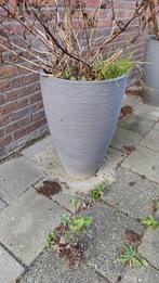 Grijze plantenbakken - 2x groot, 1x kleiner, Tuin en Terras, Ophalen, Tuin, Gebruikt, Rond