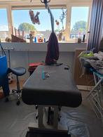 Hondentrimtafel en hondenbad, Dieren en Toebehoren, Ophalen