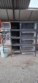 Konijnenflat, Dieren en Toebehoren, Ophalen, Konijn, 90 cm of meer, Hok