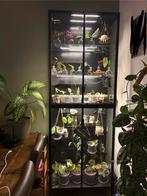 Complete planten kast Rudsta vitrine, Ophalen of Verzenden, Zo goed als nieuw, 25 tot 50 cm, Minder dan 100 cm