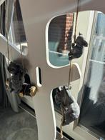 Koala Decoratie voor de Kinderkamer, Ophalen, Nieuw