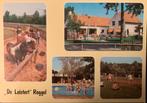 Roggel, Camping De Leistert., Ophalen of Verzenden, 1960 tot 1980, Gelopen, Limburg