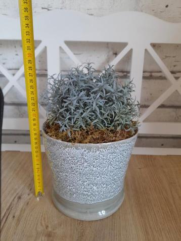 Groene bloempot met kunstplant beschikbaar voor biedingen