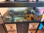 Aquarium / schildpadden, Ophalen, Zo goed als nieuw