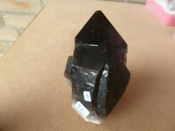 Rookkwarts (03) beschikbaar voor biedingen