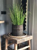 NIEUW BINNEN OUDE MAND & VERS SIER GRAS (bijna echt), Rond, Nieuw, Ophalen of Verzenden, Nvt