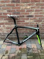Pinarello prince - maat 53, Overige merken, Carbon, Ophalen of Verzenden, Zo goed als nieuw