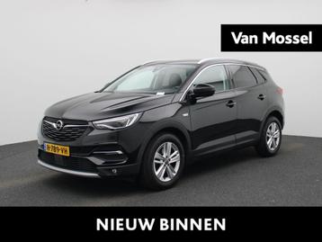 Opel Grandland X 1.2 Turbo Business Executive | LMV | Parkee beschikbaar voor biedingen