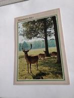 HOENDERLOO. VEL.  HERT., Ophalen of Verzenden, 1940 tot 1960, Zuid-Holland