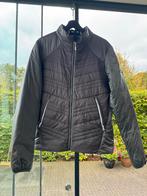 Grijze Gaastra Heren winter tussen Jas - Maat L, Maat 52/54 (L), Gaastra, Ophalen of Verzenden, Zo goed als nieuw