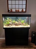 Nieuwstaat! Aquarium Juwel Rio 180 zwart, Dieren en Toebehoren, Vissen | Aquaria en Toebehoren, Ophalen, Zo goed als nieuw, Filter of Co2