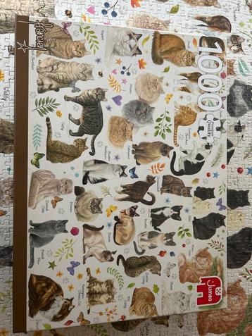 Jumbo Franciens katten puzzel 1000 Stukjes beschikbaar voor biedingen