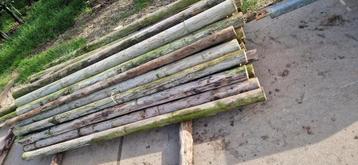 Te koop 2m Boompalen / Weidepalen beschikbaar voor biedingen