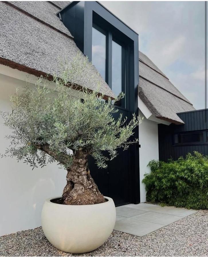 Luca lifestyle trendy bloembakken / plantenbakken te koop!, Tuin en Terras, Bloembakken en Plantenbakken, Nieuw, Kunststof, Binnen