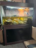 Aquarium, Dieren en Toebehoren, Vissen | Aquaria en Toebehoren, Ophalen, Gebruikt, Leeg aquarium