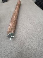 Slijtstok beton, Papegaai