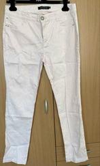 Micha pantalon maat 44 NIEUW [DM], Kleding | Dames, Maat 42/44 (L), Nieuw, Ophalen of Verzenden, Roze