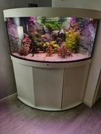 Juwel Trigion 350 wit, Dieren en Toebehoren, Ophalen of Verzenden, Zo goed als nieuw, Gevuld zoetwateraquarium