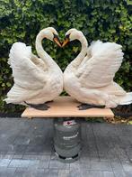 Set prachtig opgezette grote witte zwanen taxidermy, Verzamelen, Dierenverzamelingen, Ophalen of Verzenden, Opgezet dier