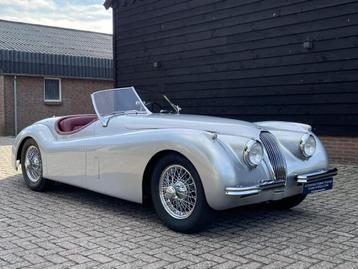 Jaguar XK 120 OTS Roadster gerestaureerd NL-kenteken beschikbaar voor biedingen