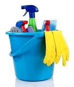 Gezocht schoonmaak huishoudelijke hulp adressen steenbergen, Diversen, Nieuw, Ophalen of Verzenden, Schoonmaak