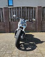 Vrod muscle harley davidson, Particulier, 2 cilinders, Chopper