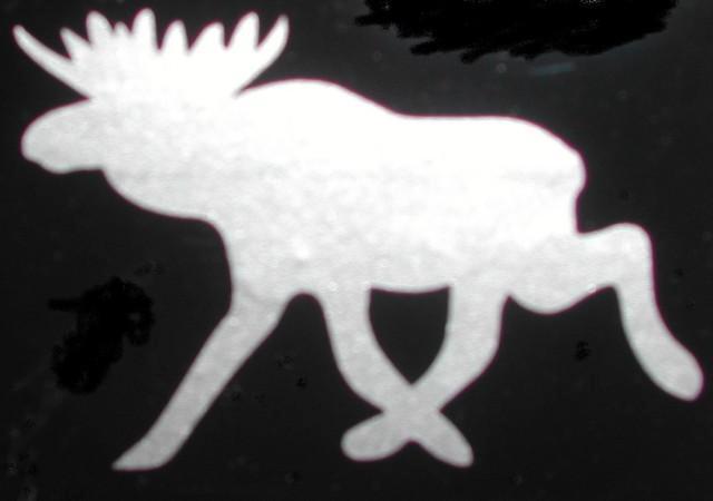 Sticker eland diverse afmetingen v. Volvo. Saab, camper e.d., Auto diversen, Auto-accessoires, Nieuw, Ophalen of Verzenden