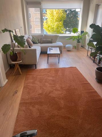 Vloerkleed terracotta/cognac beschikbaar voor biedingen