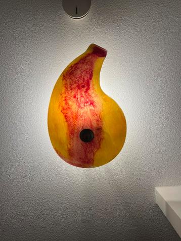 Moderne organische plafondlamp beschikbaar voor biedingen