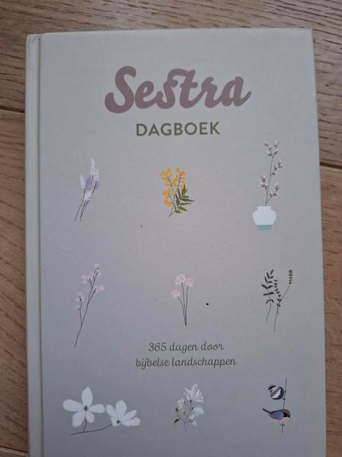 Arenda Haasnoot - Sestra dagboek, Boeken, Godsdienst en Theologie, Zo goed als nieuw, Ophalen