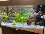 Juwel rio 125 Led HVP Aqua met of zonder vissen, planten ect, Dieren en Toebehoren, Vissen | Aquaria en Toebehoren, Ophalen, Gebruikt