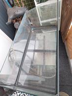 2 water schildpad bakken, Dieren en Toebehoren, Schildpad, 0 tot 2 jaar