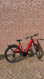 Cannondale Mavaro Neo 5+ L - Bosch - 625Wh, Gebruikt, 50 km per accu of meer, 55 tot 59 cm, Ophalen
