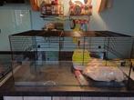 Kooi voor gerbil, muis, hamster, Dieren en Toebehoren, Kooi, Zo goed als nieuw, Hamster, 75 tot 110 cm