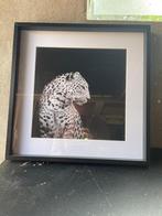 Panter schilderij, Huis en Inrichting, Ophalen, Schilderij