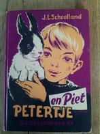 Petertje en piet j.l.schoolland, Boeken, Gelezen, Ophalen of Verzenden, Fictie algemeen, J.l.schoolland