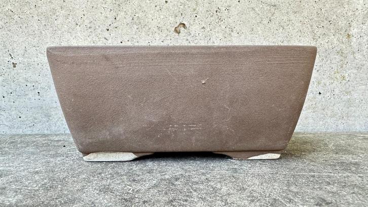 Japan bonsai schaal pot 12x9,5x5,5cm (5*), Tuin en Terras, Planten | Bomen, Overige soorten, Minder dan 100 cm, Volle zon, Bloeit niet