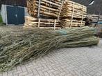 Wilgentenen schutting erfscheiding beschoeiing, Nieuw, Ophalen of Verzenden, Hout, 1 tot 2 meter