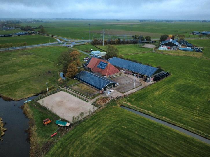 Vol pension op kleinschalige pensionstal, Dieren en Toebehoren, Stalling en Weidegang, Stalling, Weidegang