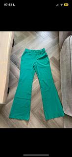 Helena Hart appeltjes groene flair broek dames travelstof S, Studio Anneloes, Ophalen of Verzenden, Zo goed als nieuw, Maat 36 (S)