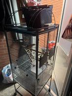 Vogel kooi, Dieren en Toebehoren, Vogels | Hokken en Kooien, Ophalen of Verzenden, Zo goed als nieuw, Metaal, Vogelkooi