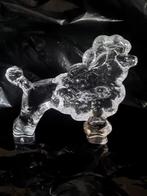 Kosta Boda poedel . Bertil Vallien, Antiek en Kunst, Antiek | Glas en Kristal, Ophalen of Verzenden