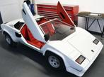 Gevraagd Agostini Lamborghini countach junior car, Ophalen