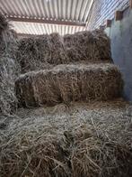 te koop zeer mooi 1 ste snee hooi €5.50 per baal, Ophalen of Verzenden